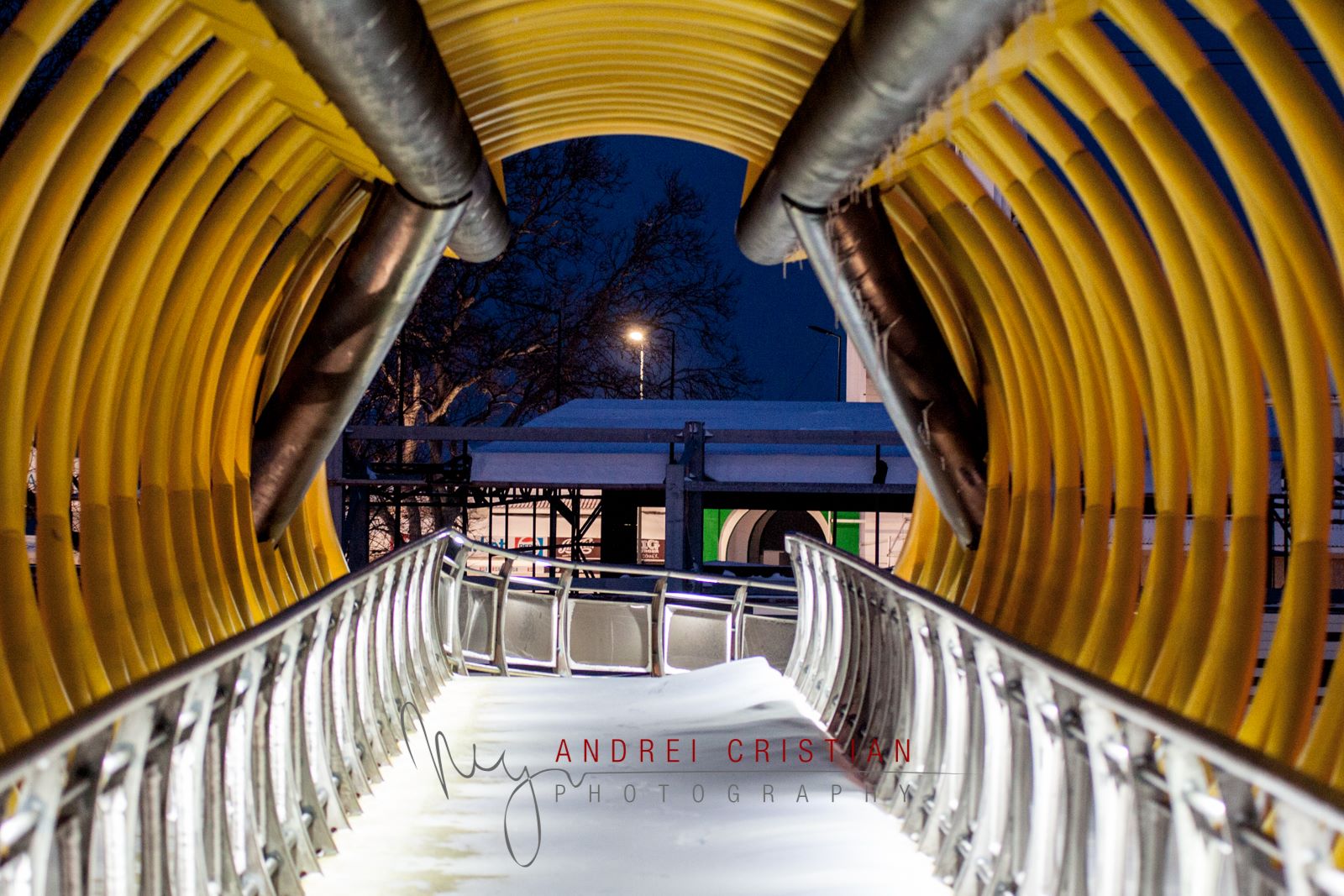 Mamaia casino winter